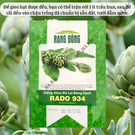 Hạt Giống Atiso Đà Lạt Bông Xanh RADO 934 (Gói 2g~40 Hạt) Rạng Đông, Sinh Trưởng Tốt, Trồng Quanh Năm