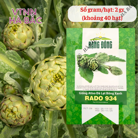 Hạt Giống Atiso Đà Lạt Bông Xanh RADO 934 (Gói 2g~40 Hạt) Rạng Đông, Sinh Trưởng Tốt, Trồng Quanh Năm