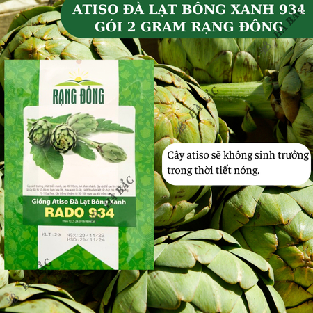 Hạt Giống Atiso Đà Lạt Bông Xanh RADO 934 (Gói 2g~40 Hạt) Rạng Đông, Sinh Trưởng Tốt, Trồng Quanh Năm