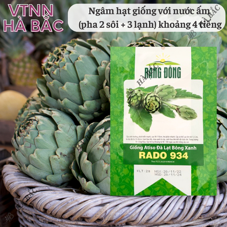 Hạt Giống Atiso Đà Lạt Bông Xanh RADO 934 (Gói 2g~40 Hạt) Rạng Đông, Sinh Trưởng Tốt, Trồng Quanh Năm