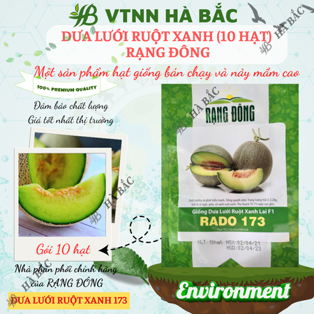 Hạt Giống Dưa Lưới Ruột Xanh RADO 173 (Gói 10 Hạt) Rạng Đông, Trái To, Mắt Lưới Dày, Ngọt, Giòn