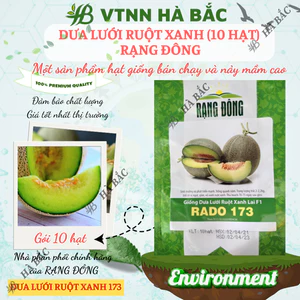 Hạt Giống Dưa Lưới Ruột Xanh RADO 173 (Gói 10 Hạt) Rạng Đông, Trái To, Mắt Lưới Dày, Ngọt, Giòn