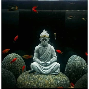 Tượng ngộ không