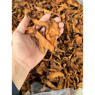 1kg Cốt toái bổ ( tắc kè đá ) sấy khô sạch, mới LOẠI 1