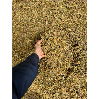 1kg LẠC TIÊN ( sấy Khô, Thơm, Sạch) LOẠI 1