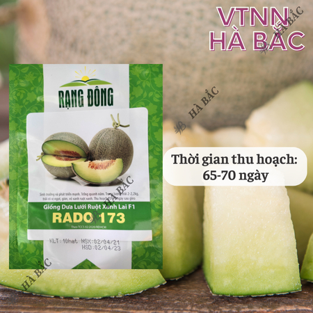 Hạt Giống Dưa Lưới Ruột Xanh RADO 173 (Gói 10 Hạt) Rạng Đông, Trái To, Mắt Lưới Dày, Ngọt, Giòn