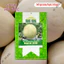 Hạt Giống Dưa Lê Bạch Kim RADO(Gói 5 Hạt) Rạng Đông Trái Ngọt, Thơm, Trồng Quanh Năm