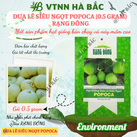 Hạt Giống Dưa Lê Popoca RADO (Gói 0,5g~35 Hạt) Rạng Đông, Siêu Trái, Siêu Ngọt, Chắc Quả, Trồng Quanh Năm