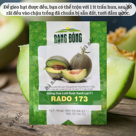 Hạt Giống Dưa Lưới Ruột Xanh RADO 173 (Gói 10 Hạt) Rạng Đông, Trái To, Mắt Lưới Dày, Ngọt, Giòn