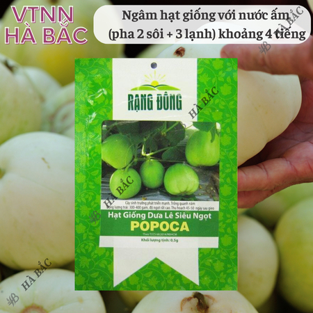 Hạt Giống Dưa Lê Popoca RADO (Gói 0,5g~35 Hạt) Rạng Đông, Siêu Trái, Siêu Ngọt, Chắc Quả, Trồng Quanh Năm
