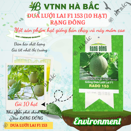 Hạt Giống Dưa Lưới Lai F1 RADO 153 (Gói 10 Hạt) Đông, Trái To, Chịu Nhiệt Tốt, Ngọt, Giòn