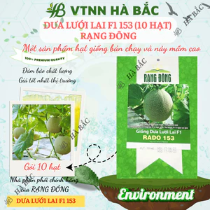 Hạt Giống Dưa Lưới Lai F1 RADO 153 (Gói 10 Hạt) Đông, Trái To, Chịu Nhiệt Tốt, Ngọt, Giòn