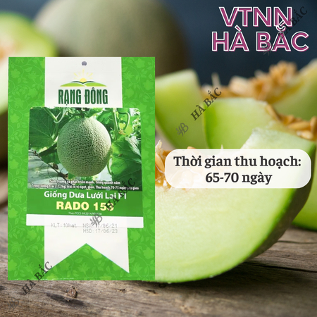 Hạt Giống Dưa Lưới Lai F1 RADO 153 (Gói 10 Hạt) Đông, Trái To, Chịu Nhiệt Tốt, Ngọt, Giòn