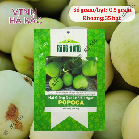 Hạt Giống Dưa Lê Popoca RADO (Gói 0,5g~35 Hạt) Rạng Đông, Siêu Trái, Siêu Ngọt, Chắc Quả, Trồng Quanh Năm
