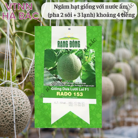 Hạt Giống Dưa Lưới Lai F1 RADO 153 (Gói 10 Hạt) Đông, Trái To, Chịu Nhiệt Tốt, Ngọt, Giòn