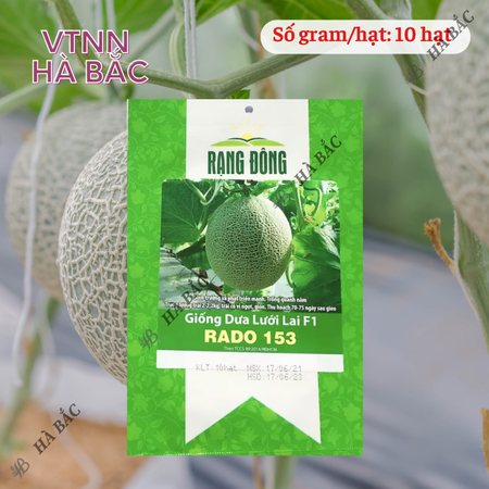 Hạt Giống Dưa Lưới Lai F1 RADO 153 (Gói 10 Hạt) Đông, Trái To, Chịu Nhiệt Tốt, Ngọt, Giòn