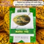 Hạt Giống Dưa Lê Nhật Nara RADO 193 (Gói 0,5g~25 Hạt) Rạng Đông Cơm Dày, Ngọt, Trồng Quanh Năm
