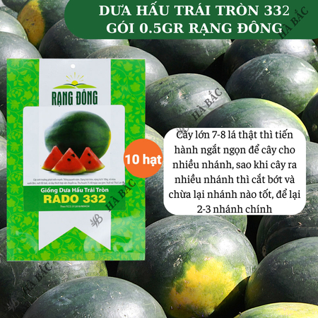 Hạt Giống Dưa Hấu Trái Tròn RADO 332 (Gói 10 Hạt) Rạng Đông, Trái Nặng 8~10 Kg, Ruột Đỏ, Ngọt