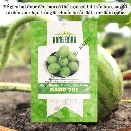 Hạt Giống Dưa Hấu Thu Non RADO 701 (Gói 2g~25 Hạt) Rạng Đông, Trái Sai, Trồng Quanh Năm, Sinh Trưởng Mạnh