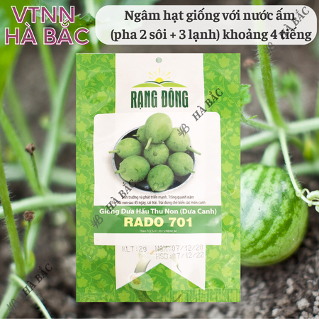 Hạt Giống Dưa Hấu Thu Non RADO 701 (Gói 2g~25 Hạt) Rạng Đông, Trái Sai, Trồng Quanh Năm, Sinh Trưởng Mạnh