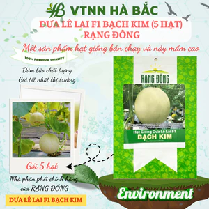 Hạt Giống Dưa Lê Bạch Kim RADO(Gói 5 Hạt) Rạng Đông Trái Ngọt, Thơm, Trồng Quanh Năm