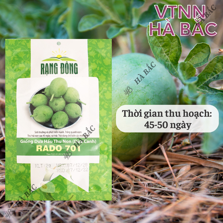 Hạt Giống Dưa Hấu Thu Non RADO 701 (Gói 2g~25 Hạt) Rạng Đông, Trái Sai, Trồng Quanh Năm, Sinh Trưởng Mạnh