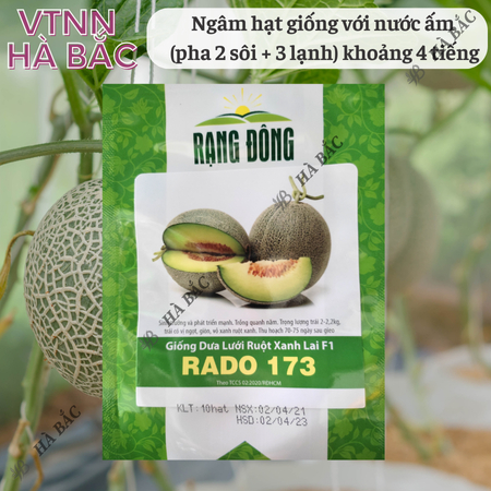 Hạt Giống Dưa Lưới Ruột Xanh RADO 173 (Gói 10 Hạt) Rạng Đông, Trái To, Mắt Lưới Dày, Ngọt, Giòn