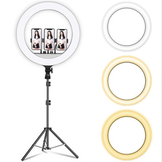 Combo đèn livestream chuyên nghiệp Đèn livestream rl45cm, đèn softbox vuông 50x70 chân linco ,đèn cầu bedio  2m8