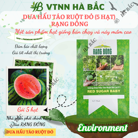Hạt Giống Dưa Hấu Táo Ruột Đỏ Red Sugar Baby RADO (Gói 5 Hạt) Rạng Đông, Ruột Đỏ, Ngọt, Sai Trái, Dễ Gieo Trồng