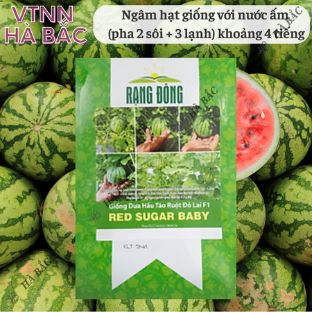 Hạt Giống Dưa Hấu Táo Ruột Đỏ Red Sugar Baby RADO (Gói 5 Hạt) Rạng Đông, Ruột Đỏ, Ngọt, Sai Trái, Dễ Gieo Trồng