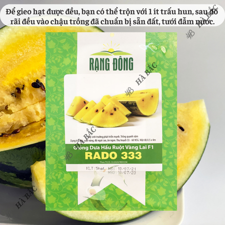 Hạt Giống Dưa Hấu Ruột Vàng RADO 333 (Gói 5 Hạt) Rạng Đông, Trái Dài, Vỏ Mỏng, Ruột Vàng Ngọt, Mọng Nước