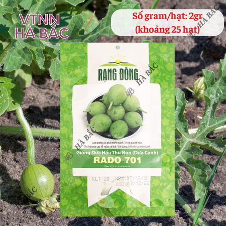 Hạt Giống Dưa Hấu Thu Non RADO 701 (Gói 2g~25 Hạt) Rạng Đông, Trái Sai, Trồng Quanh Năm, Sinh Trưởng Mạnh