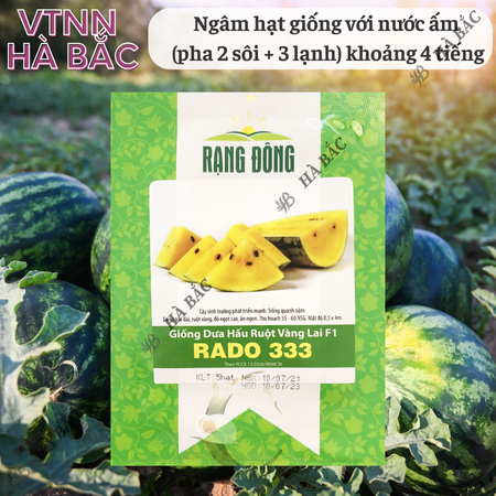 Hạt Giống Dưa Hấu Ruột Vàng RADO 333 (Gói 5 Hạt) Rạng Đông, Trái Dài, Vỏ Mỏng, Ruột Vàng Ngọt, Mọng Nước