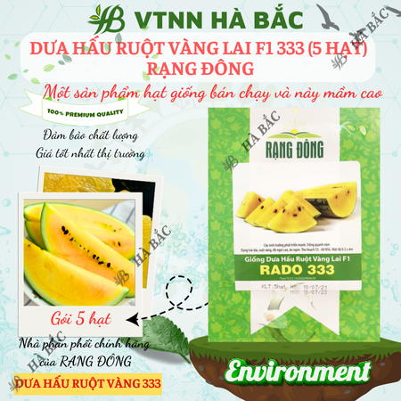 Hạt Giống Dưa Hấu Ruột Vàng RADO 333 (Gói 5 Hạt) Rạng Đông, Trái Dài, Vỏ Mỏng, Ruột Vàng Ngọt, Mọng Nước