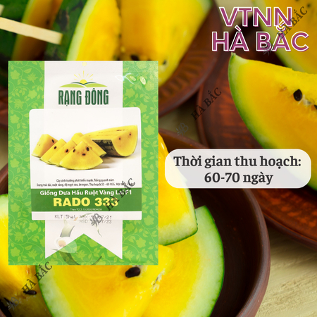 Hạt Giống Dưa Hấu Ruột Vàng RADO 333 (Gói 5 Hạt) Rạng Đông, Trái Dài, Vỏ Mỏng, Ruột Vàng Ngọt, Mọng Nước