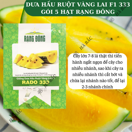 Hạt Giống Dưa Hấu Ruột Vàng RADO 333 (Gói 5 Hạt) Rạng Đông, Trái Dài, Vỏ Mỏng, Ruột Vàng Ngọt, Mọng Nước