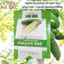Hạt Giống Đu Đủ Xanh Pallas RADO 608 (Gói 10 Hạt) Rạng Đông, Dễ Gieo Trồng, Trái To, Dài, Giòn, Sai Trái