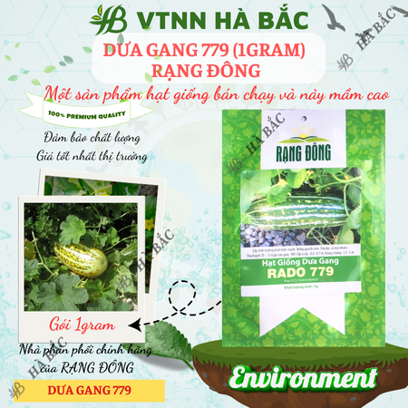 Hạt Giống Dưa Gang RADO 779 (Gói 1g~50 Hạt) Rạng Đông, Trái Dài, Thơm, Ngon, Sinh Trưởng Mạnh