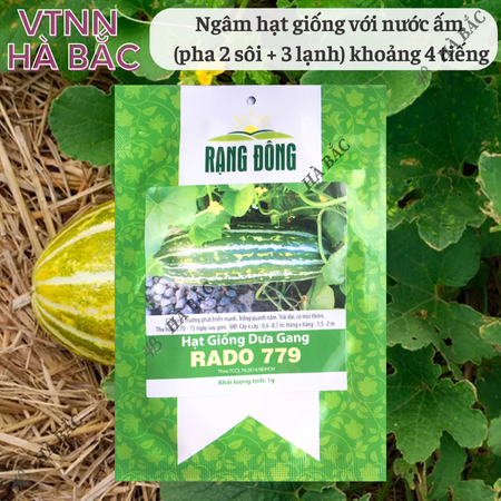 Hạt Giống Dưa Gang RADO 779 (Gói 1g~50 Hạt) Rạng Đông, Trái Dài, Thơm, Ngon, Sinh Trưởng Mạnh