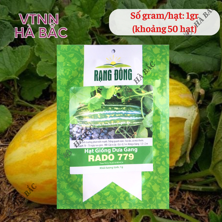 Hạt Giống Dưa Gang RADO 779 (Gói 1g~50 Hạt) Rạng Đông, Trái Dài, Thơm, Ngon, Sinh Trưởng Mạnh