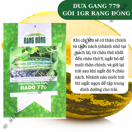 Hạt Giống Dưa Gang RADO 779 (Gói 1g~50 Hạt) Rạng Đông, Trái Dài, Thơm, Ngon, Sinh Trưởng Mạnh