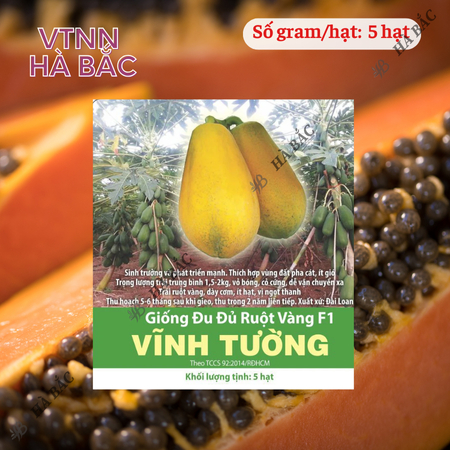 Hạt Giống Đu Đủ Ruột Vàng F1 Vĩnh Tường RADO (Gói 5 Hạt) Rạng Đông, Trái To, Ra Quả 2 Năm, Ngọt