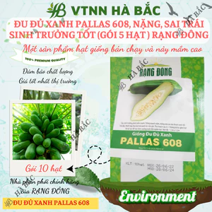 Hạt Giống Đu Đủ Xanh Pallas RADO 608 (Gói 10 Hạt) Rạng Đông, Dễ Gieo Trồng, Trái To, Dài, Giòn, Sai Trái