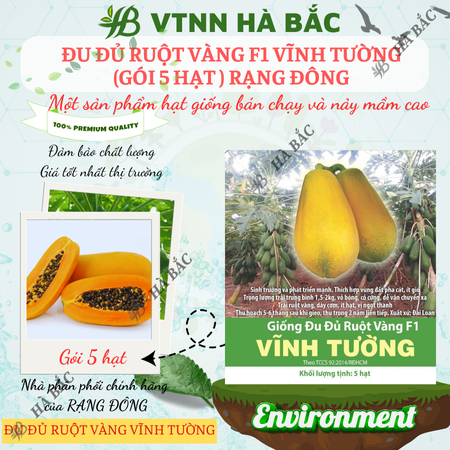 Hạt Giống Đu Đủ Ruột Vàng F1 Vĩnh Tường RADO (Gói 5 Hạt) Rạng Đông, Trái To, Ra Quả 2 Năm, Ngọt