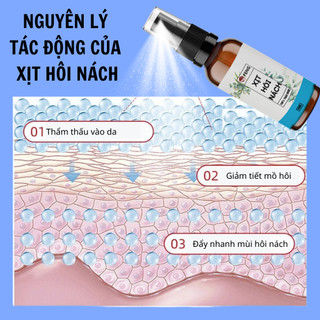 Xịt nách thảo dược Fengcha cho người hôi nách do gen, do nội tiết thay đổi chai xịt 50ml