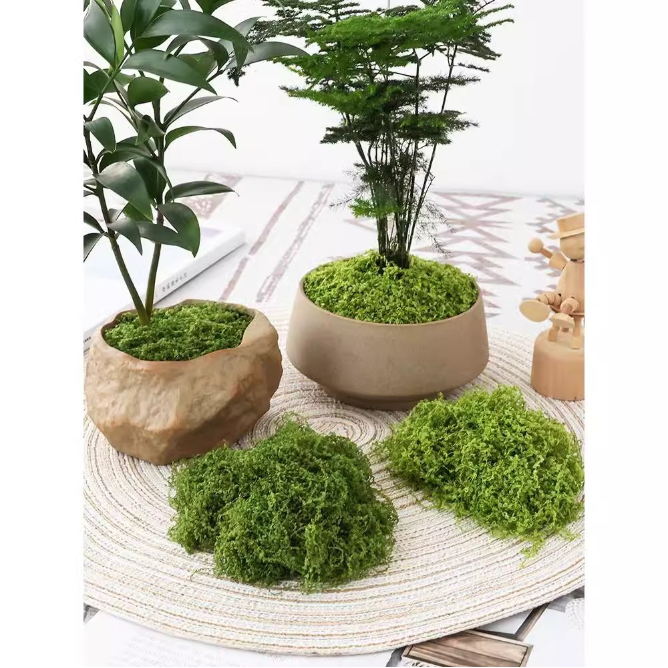 Cỏ rêu sợi nhân tạo túi lớn 30-50-100-200gr phủ chậu cây, bồn hoa ...