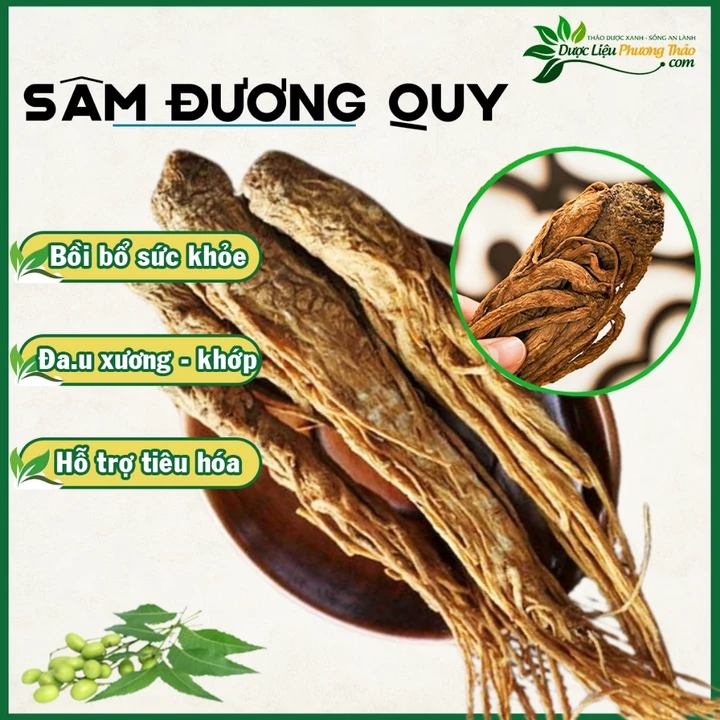 Đương Quy (Củ đương quy, Sâm đương quy) quy túi 350g quy chuẩn chất lượng Phòng Khám