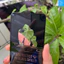 Kính cường lực Xiaomi Poco X3 Pro X3 NFC M3 C40 Xiaomi 12T Pro 11T Pro 5G 10T Pro Mi 11 Lite 5G X5 F4 GT F3 M5 M5s M4