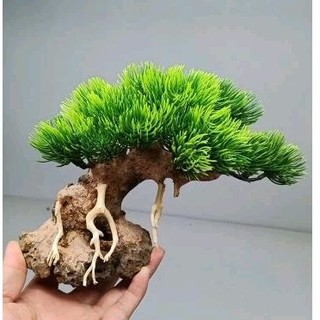 [TOP BÁN CHẠY]Cây trang trí bể cá mini, đế bằng đá, tán bằng nhựa
