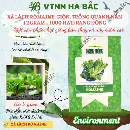 Hạt Giống Xà Lách Romaine RADO (Gói 2g~1000 Hạt) Rạng Đông, Nảy Mầm Tốt, Sinh Trưởng Khỏe, Trồng Quanh Năm